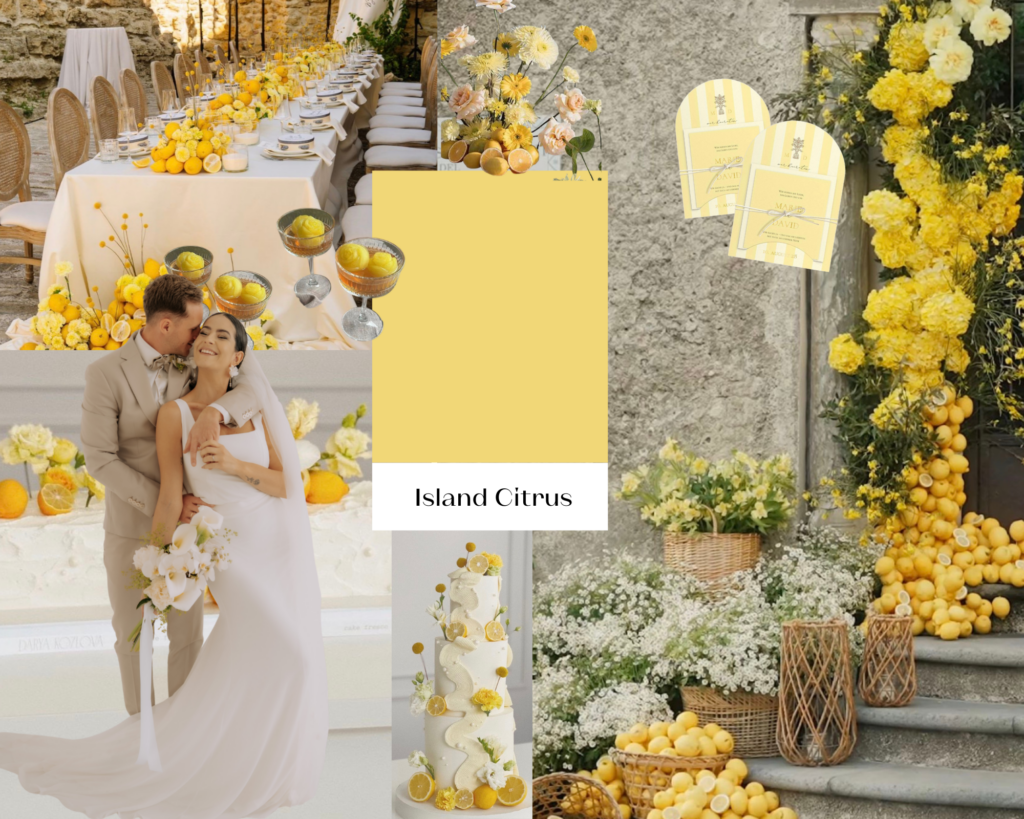 Eine Hochzeit unter dem Motto Zitrusfrüchte in Nürnberg mit gelben Blumen, Zitronen, eleganten Tischen, einem umwerfenden Brautoutfit aus einem lokalen Brautmodenladen und einem glücklichen Brautpaar.