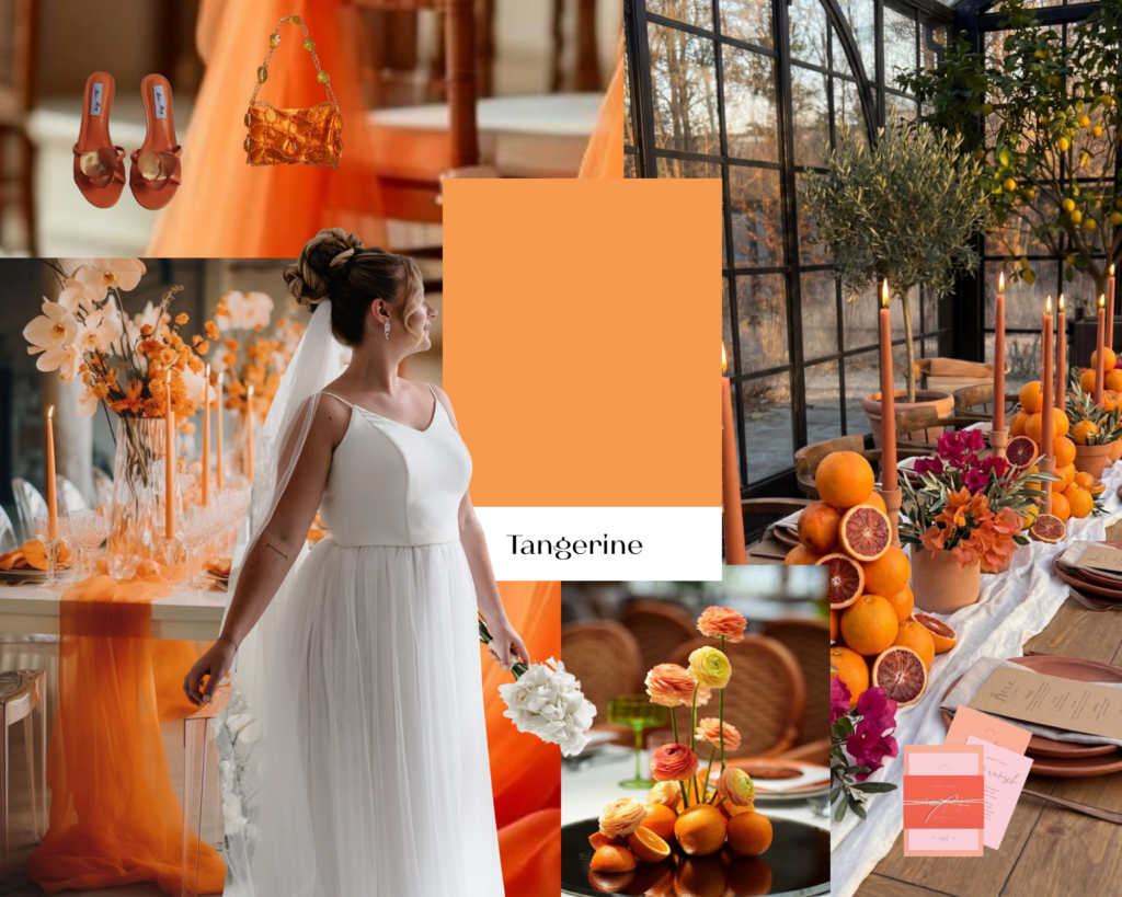 Hochzeits-Moodboard mit mandarinenfarbenen Akzenten, Blumen, Tischdekoration, einer Braut in atemberaubender Brautmode und leuchtend orangen Details - die perfekte Inspiration für Ihr Traum-Brautoutfit in Nürnberg.